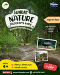 Sunday Nature Discovery walk