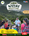 Sunday Nature Discovery walk