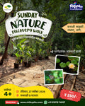 Sunday Nature Discovery walk