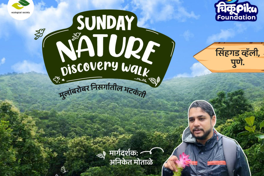 Sunday Nature Discovery Walk